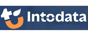 Intodata Logo